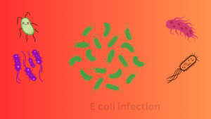 e coli